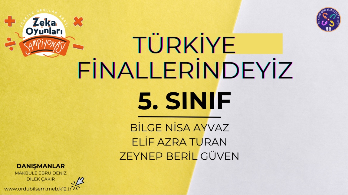 Türkiye Zeka Oyunları Şampiyonası Türkiye Finallerindeyiz!